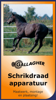 Gallagher dealer